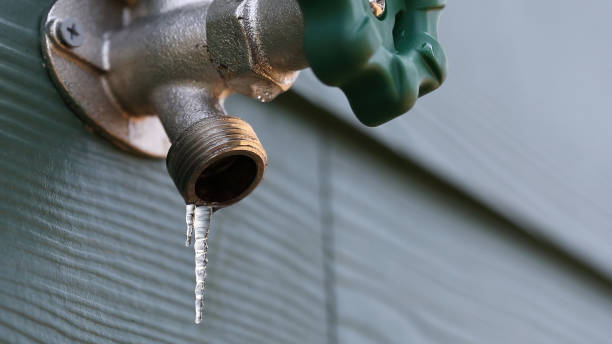 Best Residential Plumbing Services  in Gila Bend, AZ